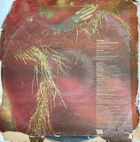 The Mike Theodore Orchestra High On Mad Mountain