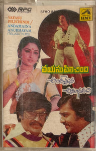 Vayasu Pilichindi / Andamaina Anubhavam