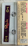 Coolie No 1 / Raja