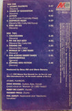 Steve Stevens Atomic Playboys