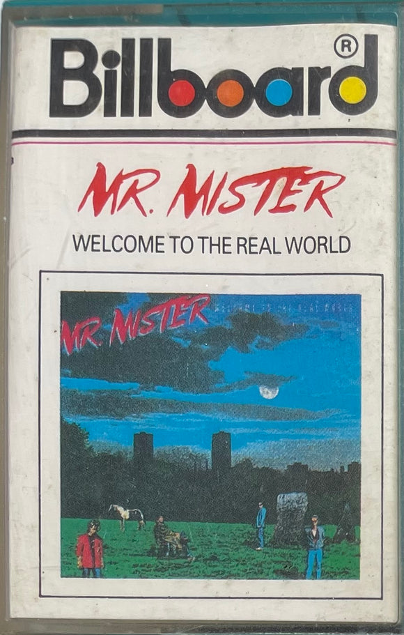 Mr. Mister Welcome To The Real World