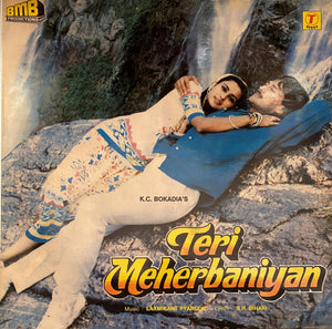 Teri Meherbaniyan - 12 Inch LP