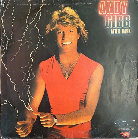 Andy Gibb After Dark - 12 Inch LP